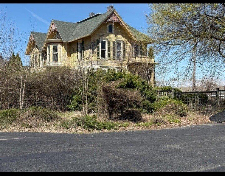 Picture 3