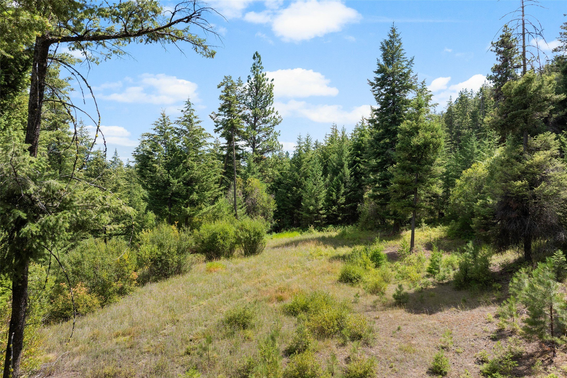 Montana Land with Mountain Views