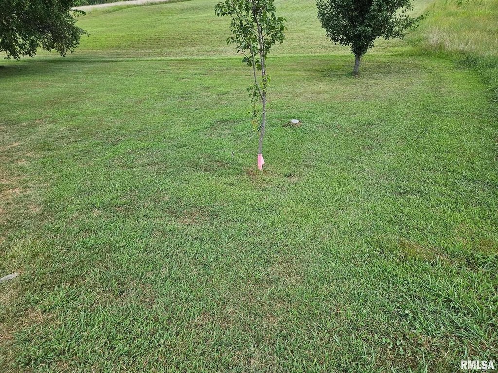 Picture 3
