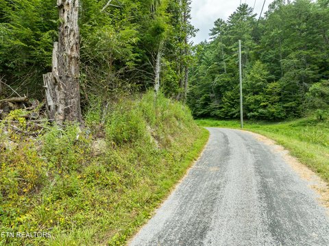 20+ Acres Near National Forest