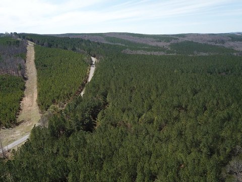 Wooded Tract with Creek Frontage