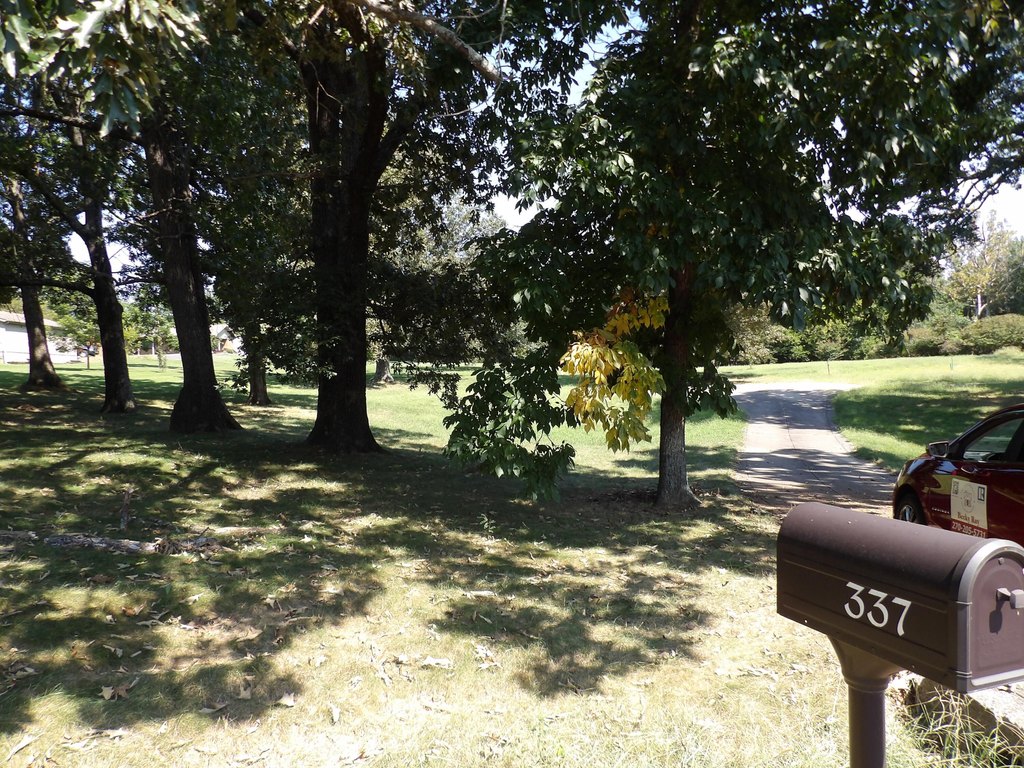 Picture 15