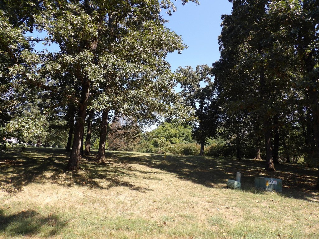 Picture 17