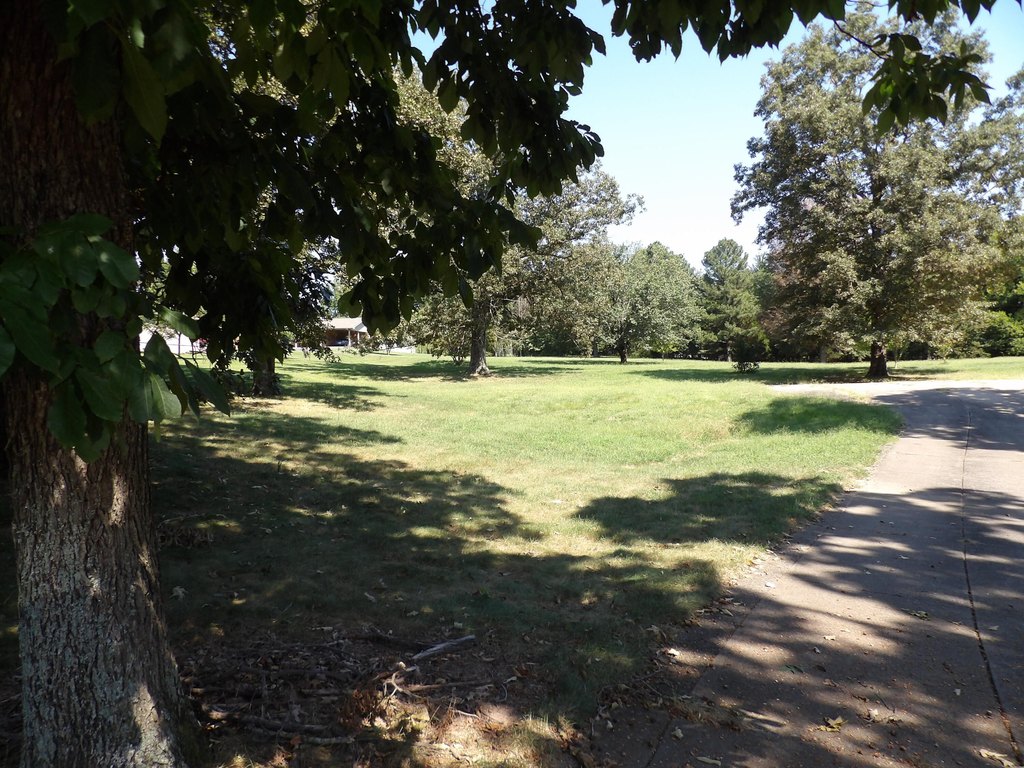 Picture 14