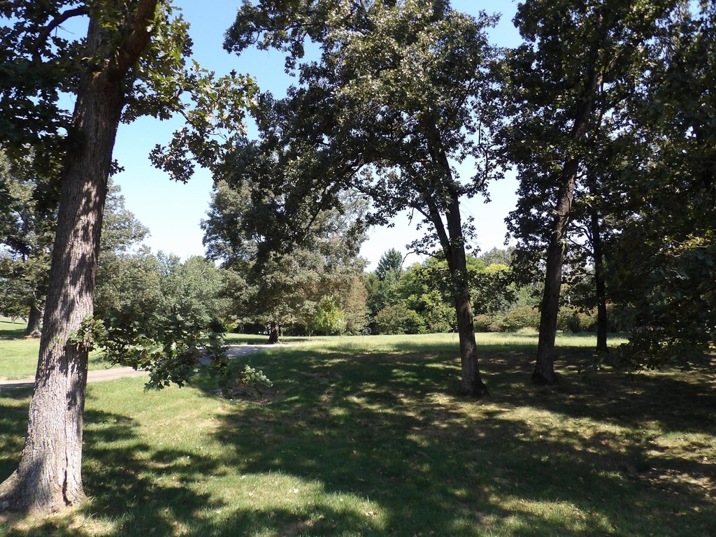 Picture 16