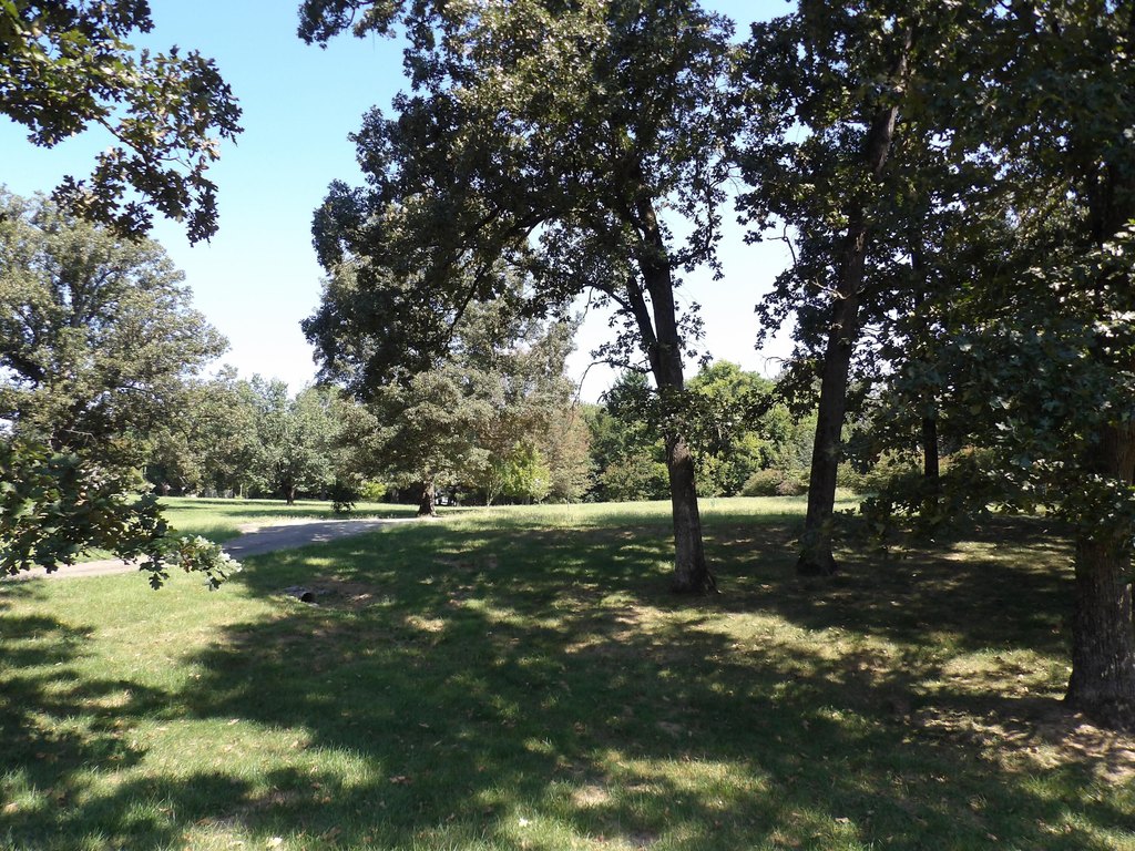 Picture 4