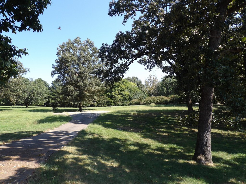 Picture 2