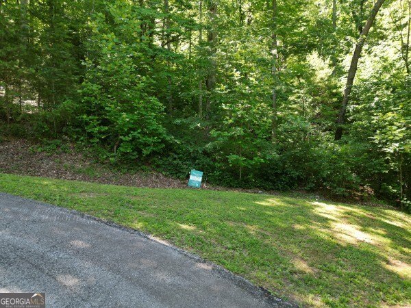 Picture 7