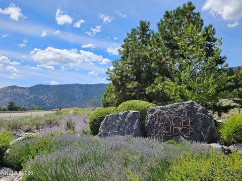 Land, Genoa, NV