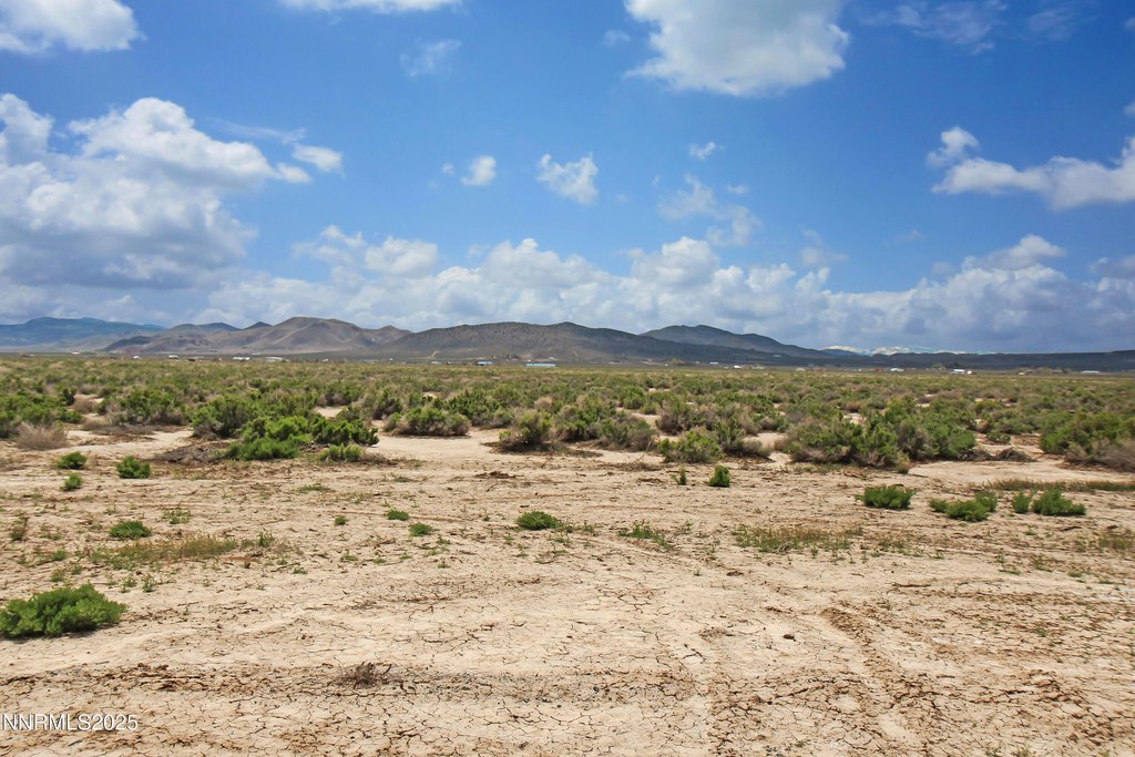 Picture 10