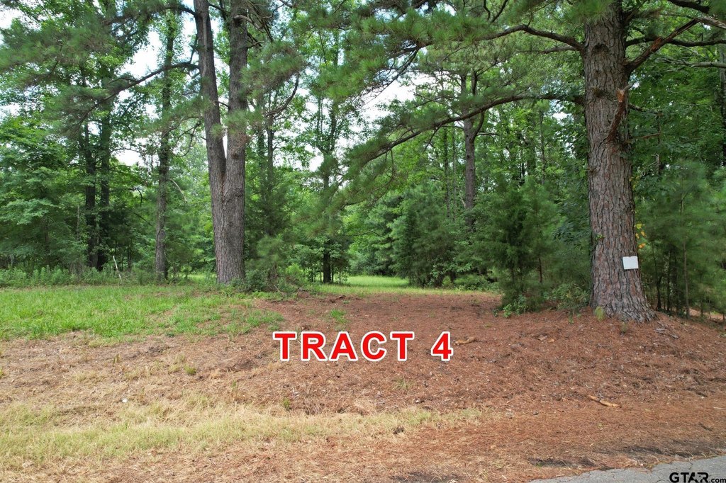 Picture 3