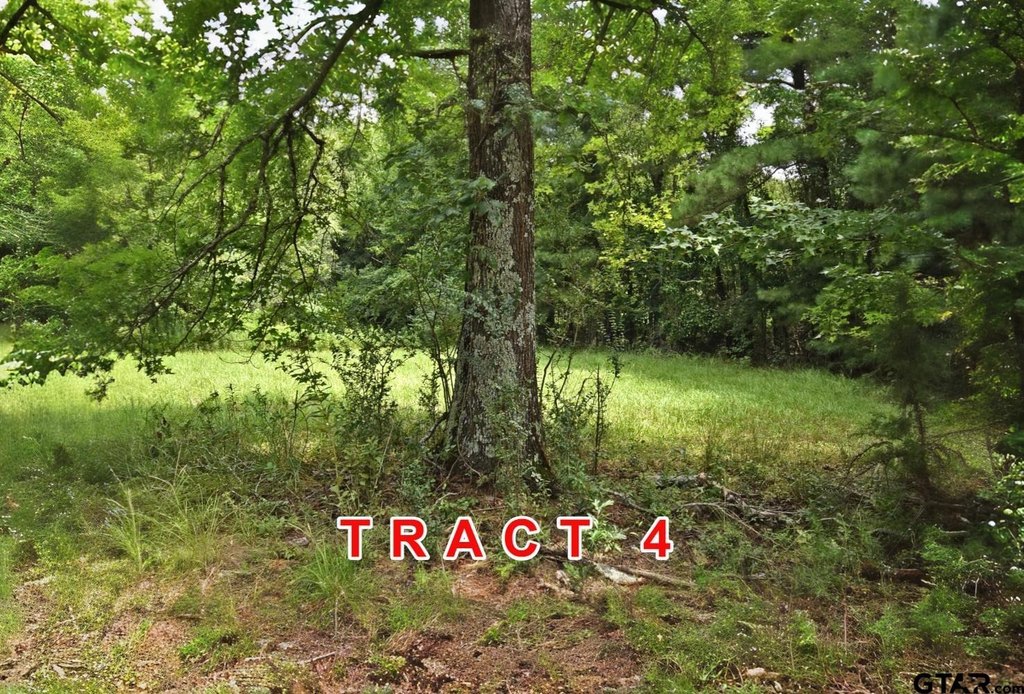 Picture 4