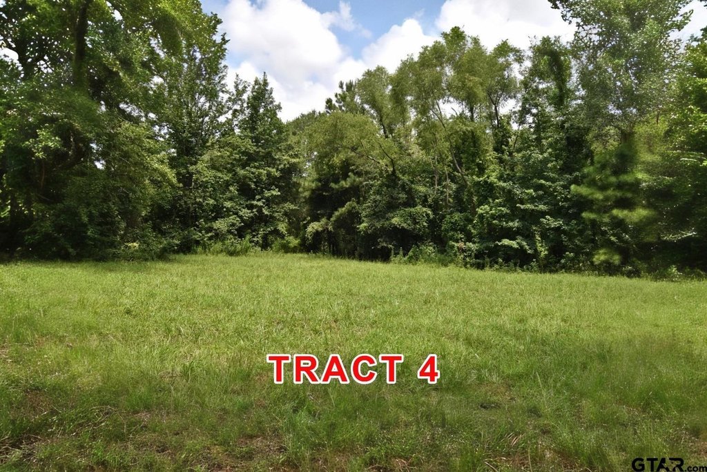 Picture 5