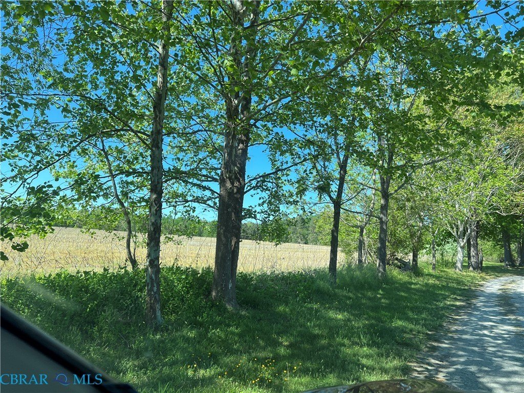 Wooded Acreage in James City