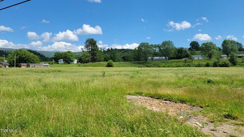 Level Lot Near Watauga Lake