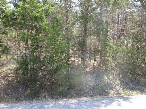 Holiday Island Buildable Wooded Lot