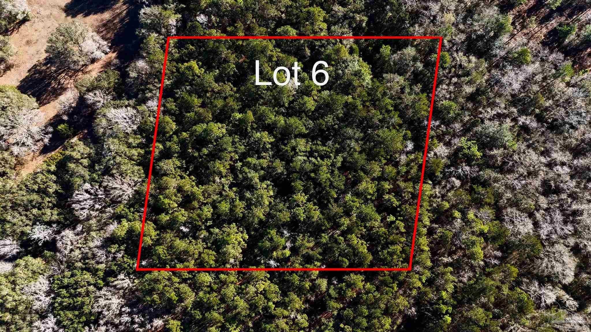 Secluded Wooded Land in Pace, FL