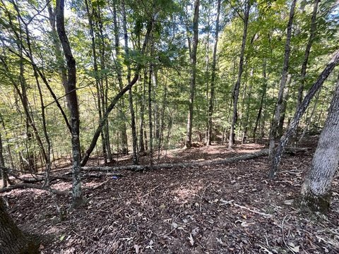 Vacant Lot, Ellijay, GA