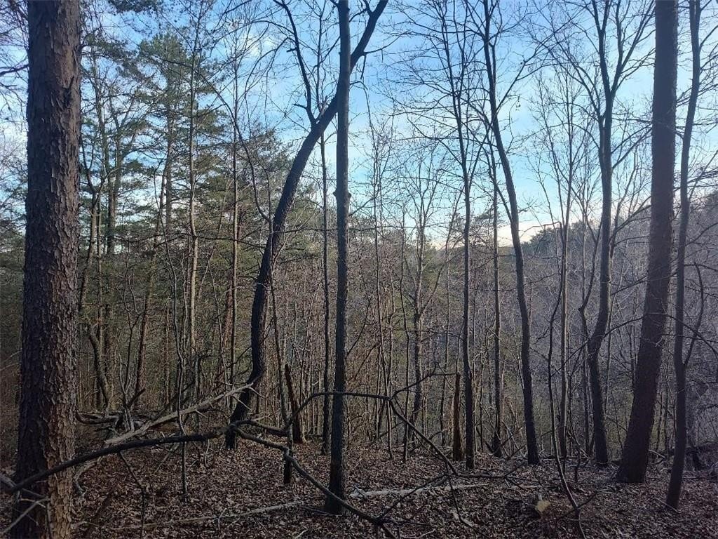 Residential Lot in Resort Community