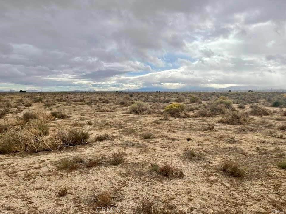 Picture 25