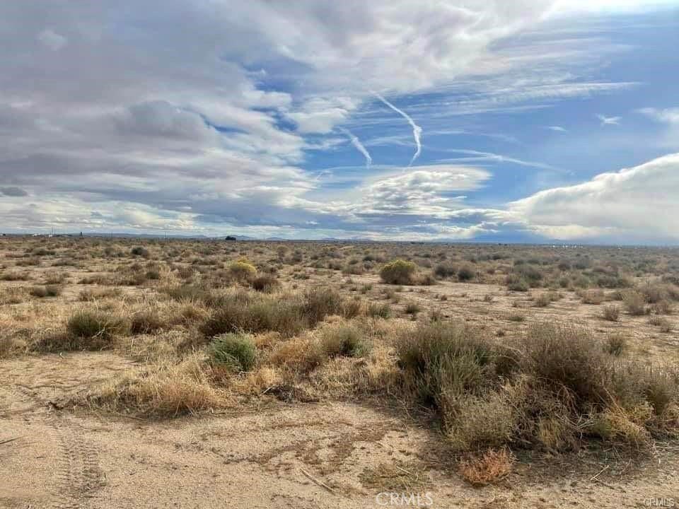 Picture 20