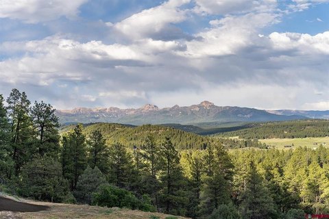 LAND - Pagosa Springs, CO