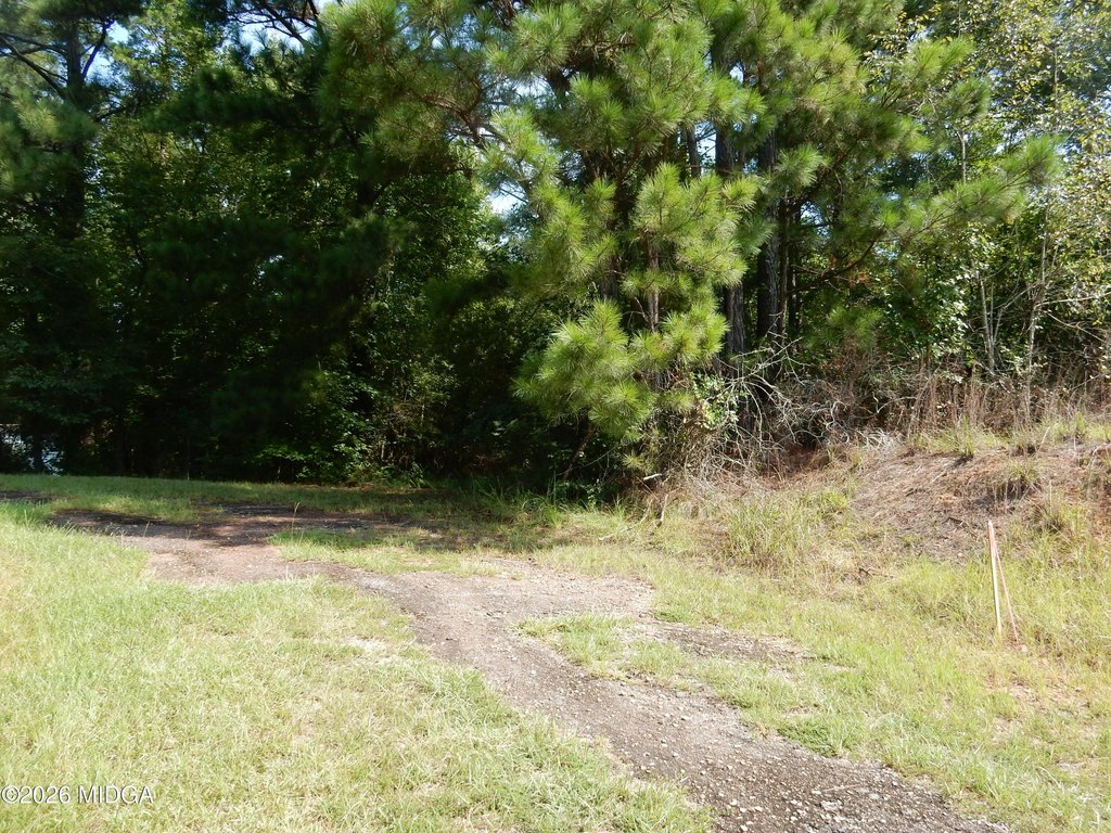 Picture 2
