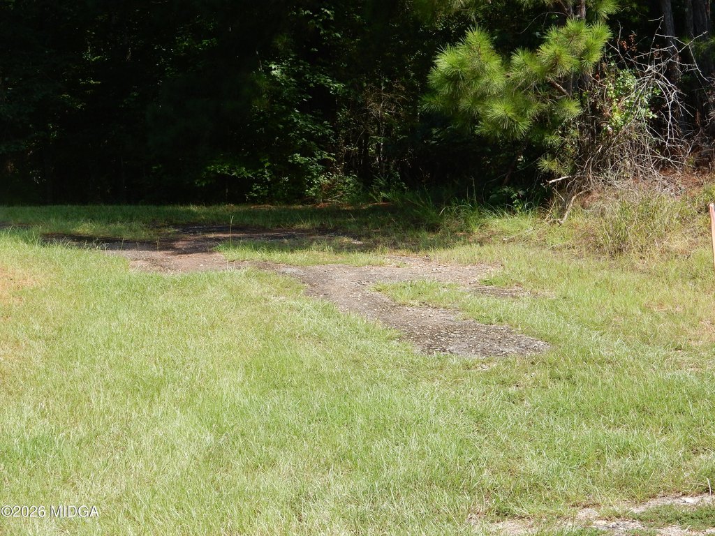 Picture 3