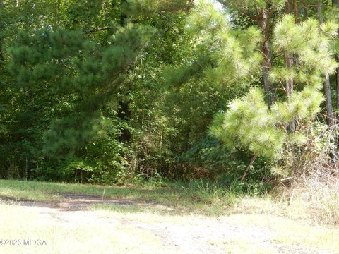 LAND - Roberta, GA