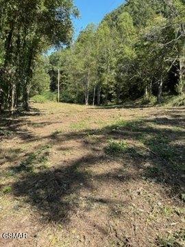 Unrestricted Land Near Caney Creek