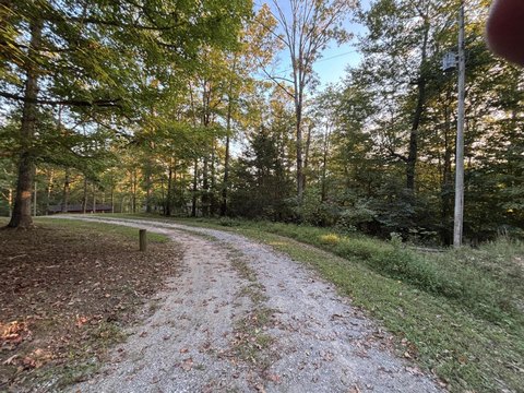 Land Near Wolf Creek Marina
