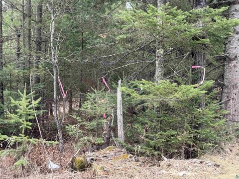 9-Acre Parcel Near Horseshoe Lake