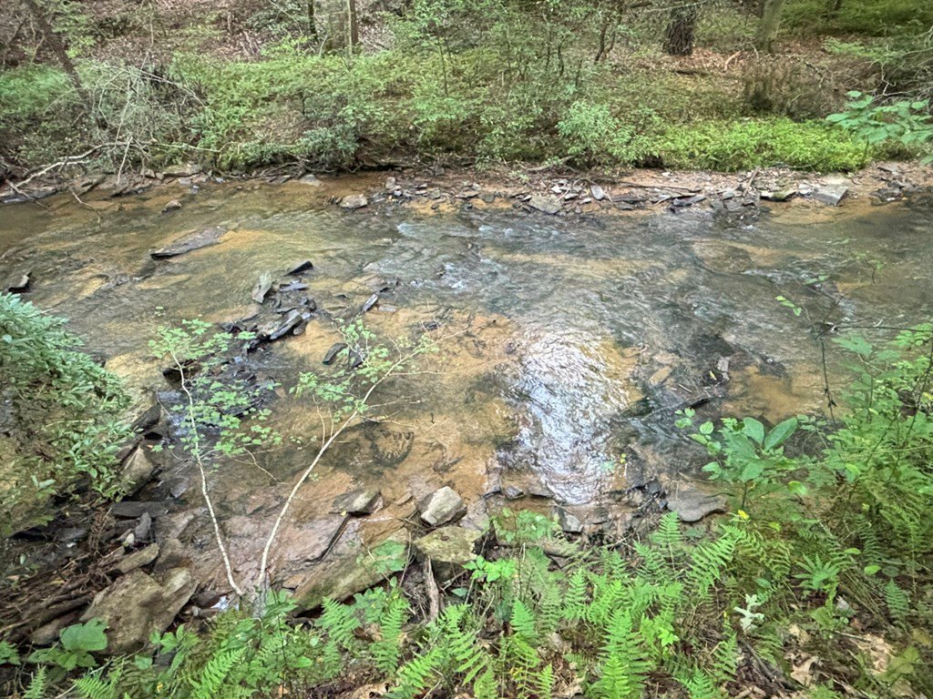 Picture 21
