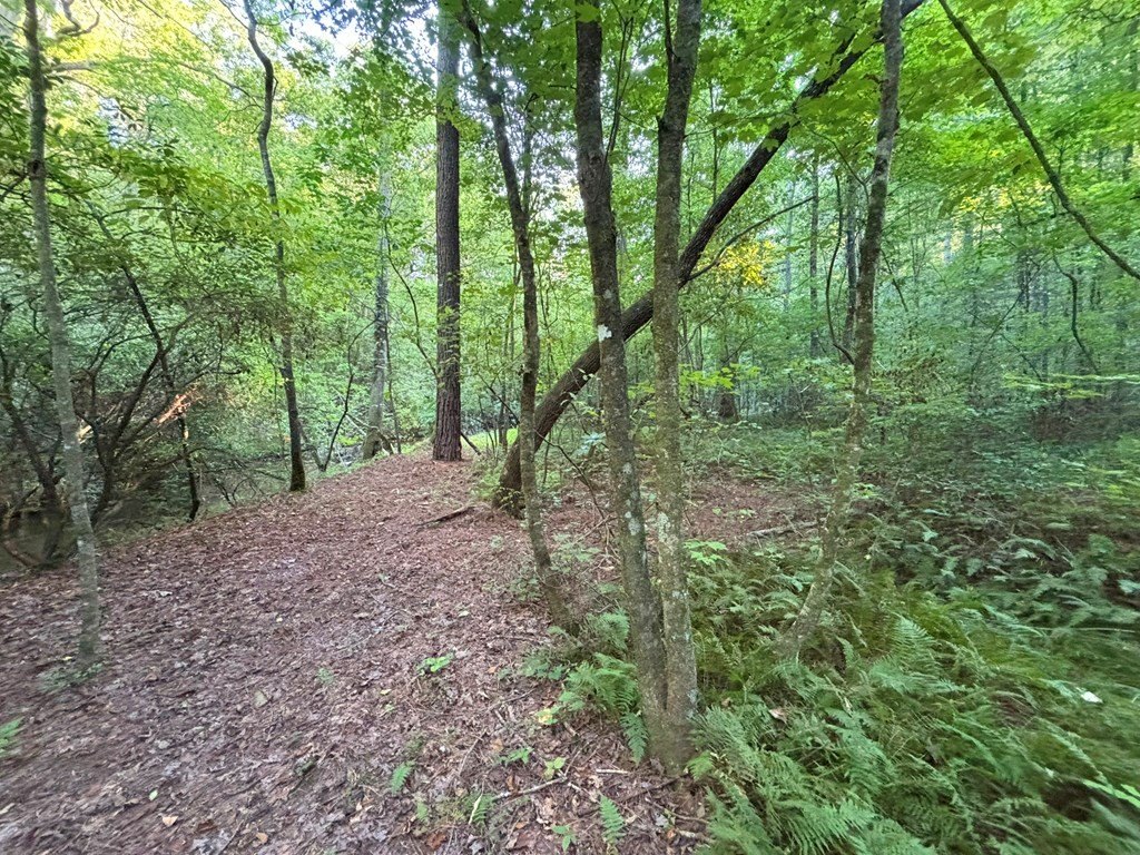Picture 23