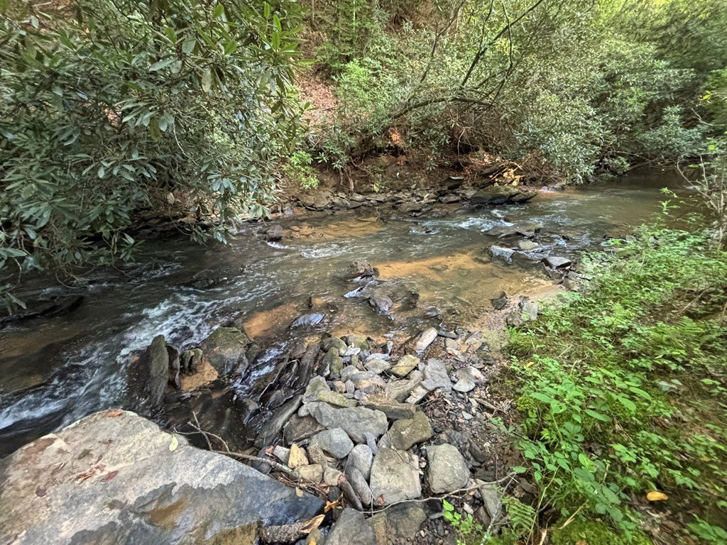 Picture 17