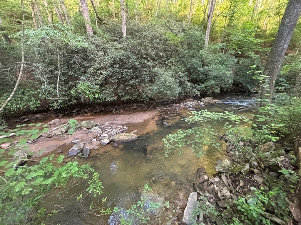 Picture 15