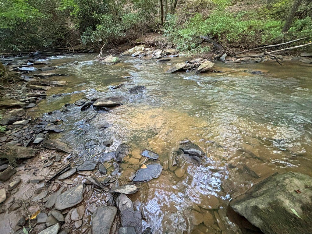 Picture 22