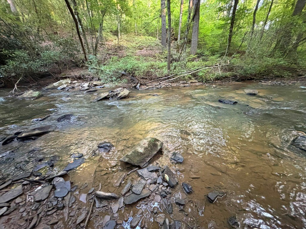 Picture 28