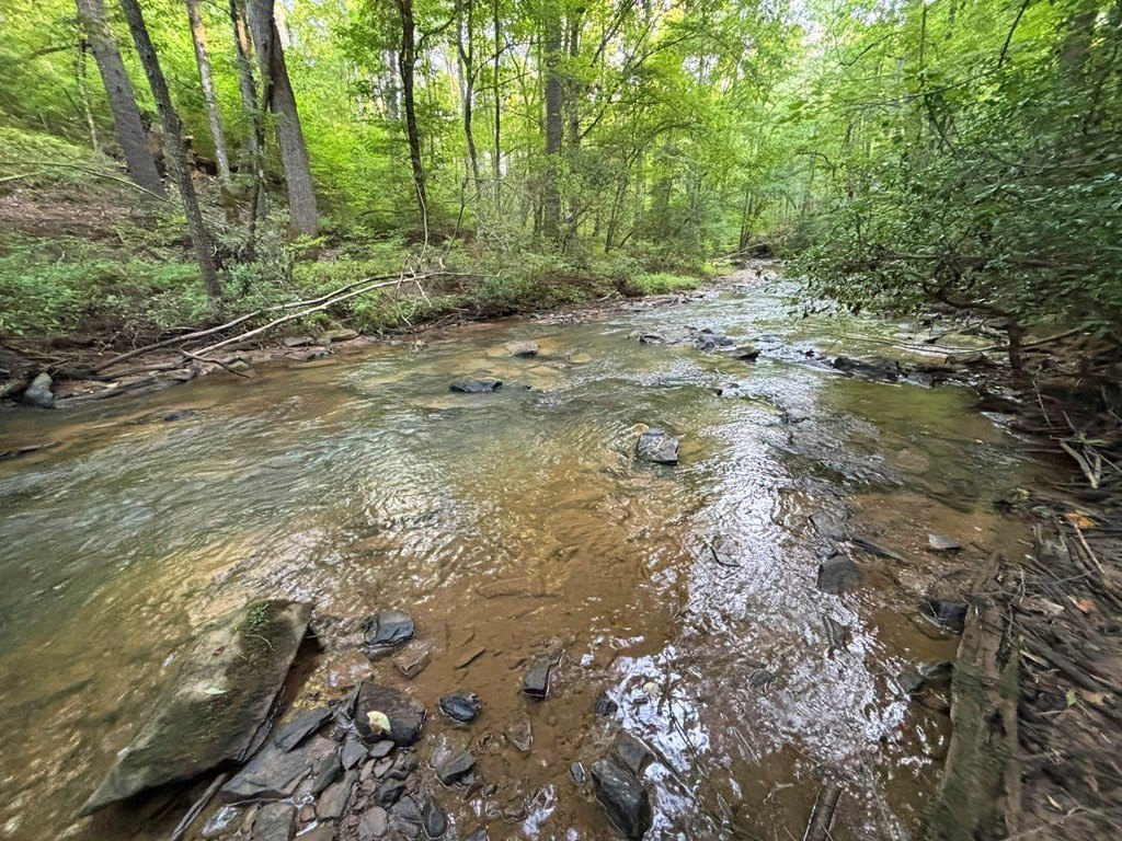 Picture 26