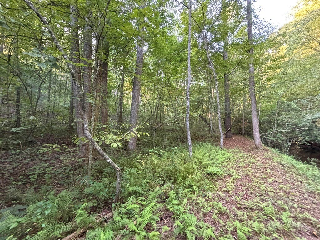 Picture 25