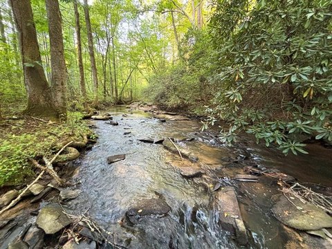 LAND - Ellijay, GA