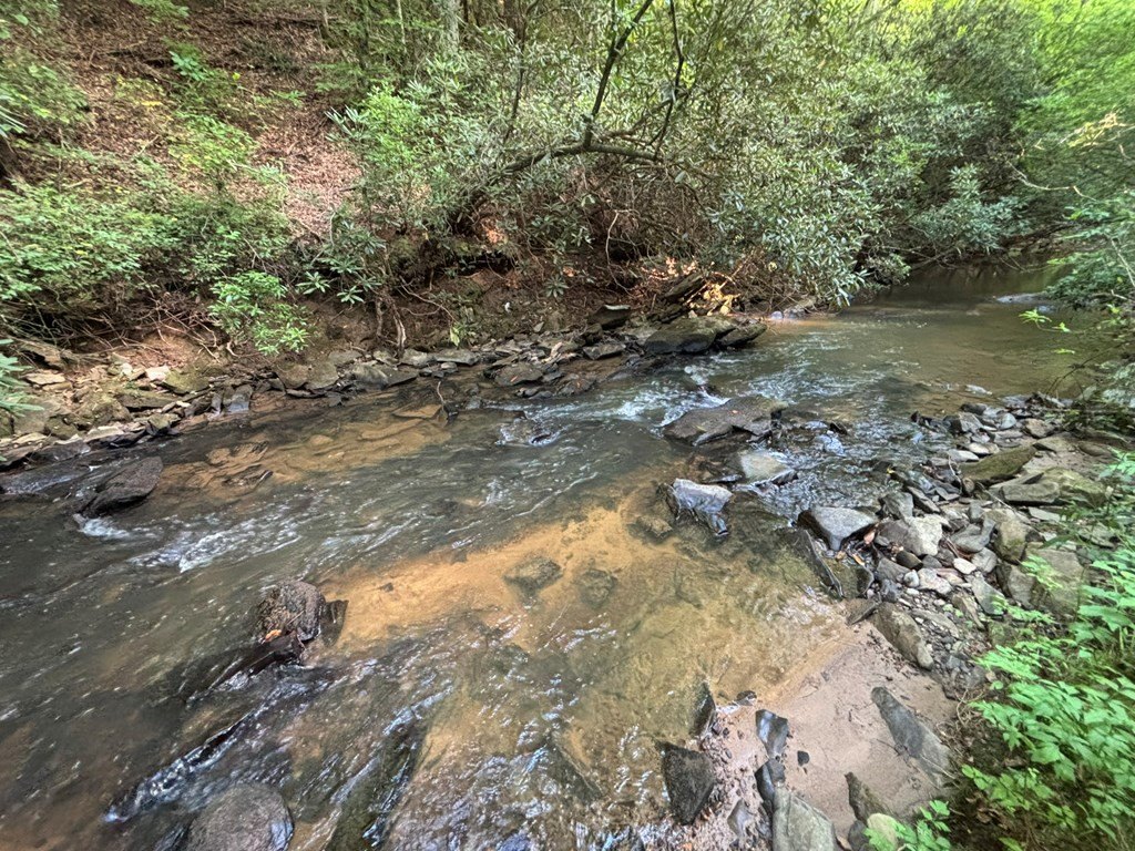 Picture 19