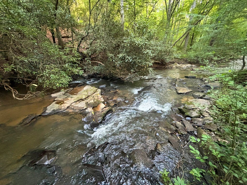 Picture 31