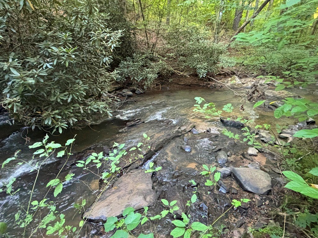 Picture 29