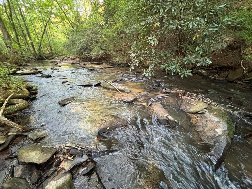 Picture 7