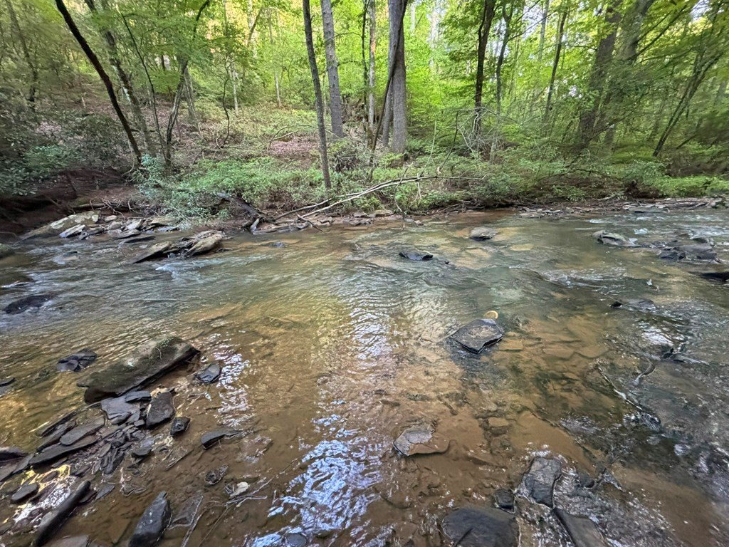 Picture 24