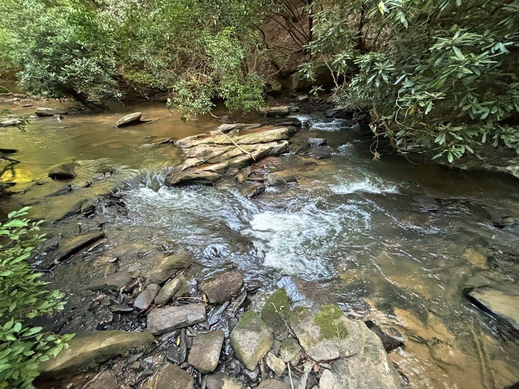 Picture 30