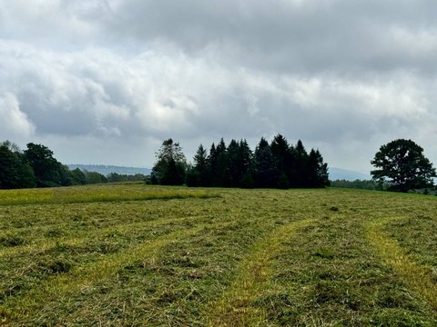 Land, Richford, NY