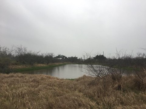 20 Acres Commercial Land Rockport