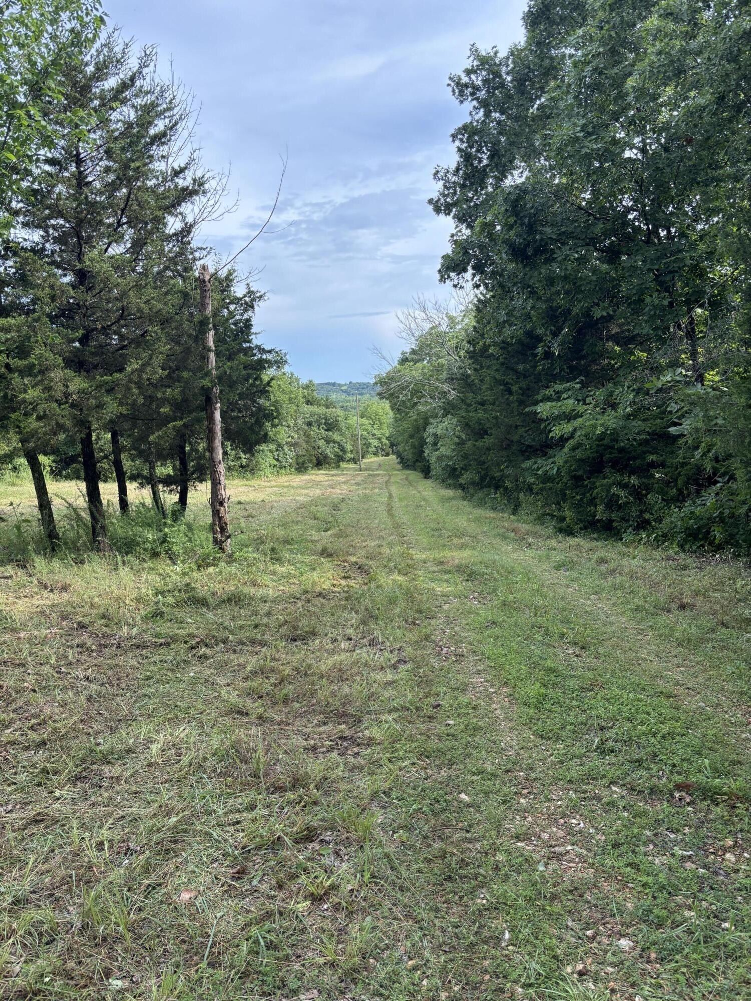 178 Acres of Land, Weaubleau